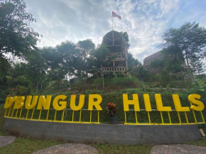 D'Bungur Hills